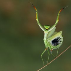 Are you gonna dance with me ?