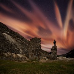 Shiny Night