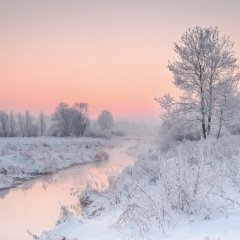 Winter Morning