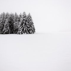 Winter Minimalism