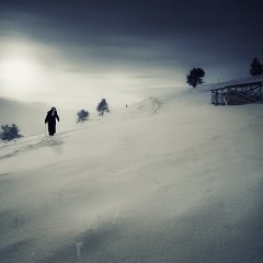 Winter Stories