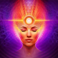 Mind Molecular Congruence