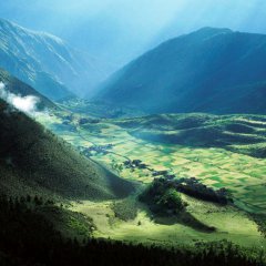 The Stunning Fields Of Tibet