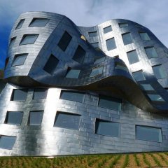 Las Vegas’s Luxe Lou Ruvo Building