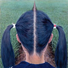 A Path Between Rice Fields