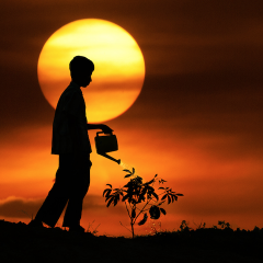 Heal the World