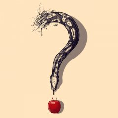 Curious Temptation