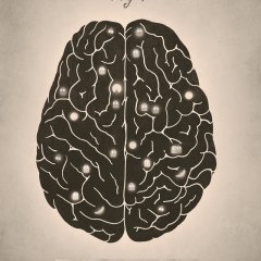 Your Brain on Video Games