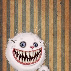 Tommy the cat