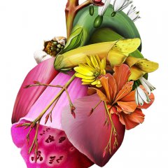 Blossoming love