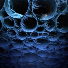 untitled_1