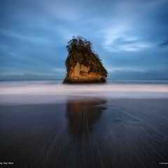 Shoreline, Japan