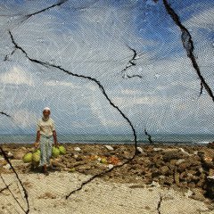 Coconut Vendor, Bangladesh
