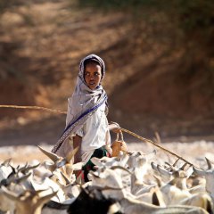 Goatherd, Somalia