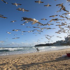 Bondi Beach, Australia