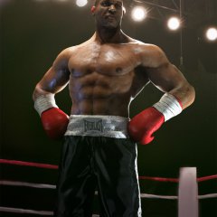 The Boxer