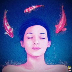 science of sleep (by <a href=