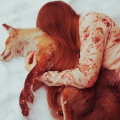 fairy tale about a girl who found dead animal in the forest and shared it with her warmth