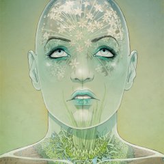terrarium