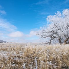 Snowfall, Wyoming