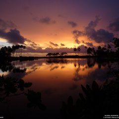 Sunset, Sri Lanka