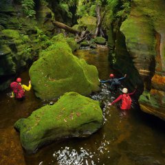 Claustral Canyon, Australia