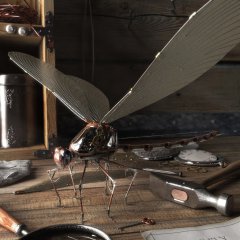 DragONtFLY