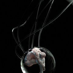 Embryo III