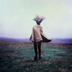 A Bouquet of Imagination