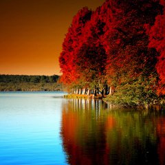 Nature (Mirage d'Automne)