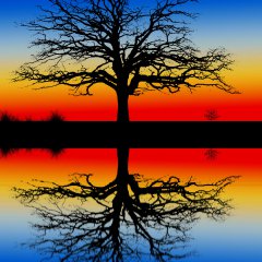 Nature Colors