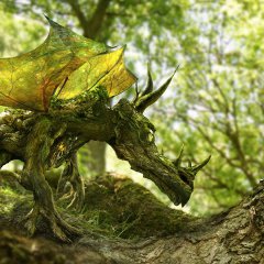The Wood Dragon and the Ladybird