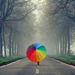 ‘<strong>somewhere over the rainbow</strong>’ by <a href=
