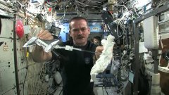 Wet Washcloth In Space