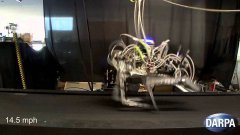 DARPA Cheetah Sets Speed Record