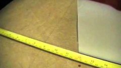 Longest Guinea Pig Jump World Record