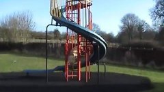 Dog Slides Down Playground Slide On Command
