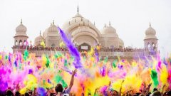 Festival Of Colors