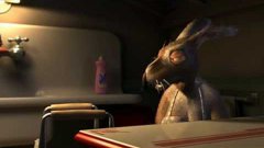 Bunny