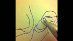 Trolling a spider