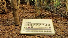 Monkeys and Synthesizers