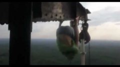 Russians perform acrobatic feats atop sky high tower