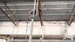 London 2012 Foxtel Australia ad
