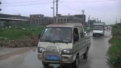 Five thousand ducks block road in China