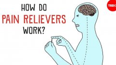 How do pain relievers work?