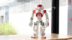 Evolution of dance by NAO robot