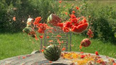 Rubber bands vs water melon
