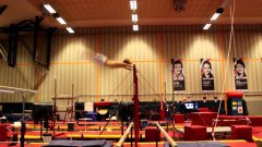 Epke Zonderland Quadra Combination
