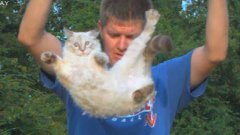 Slow motion flipping cat physics