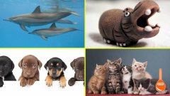 The Origins of Cute
